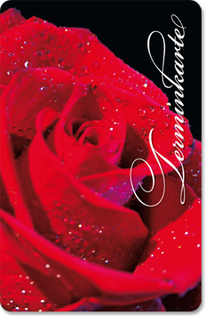 Terminkarte "einsame Rose" Terminkarte "einsame Rose"