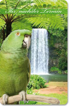 Terminkarte "Jungle Paradise"