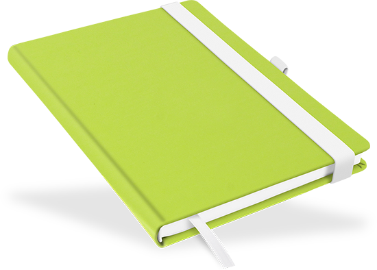 Notizbuch "Green Lizard" - DIN A5