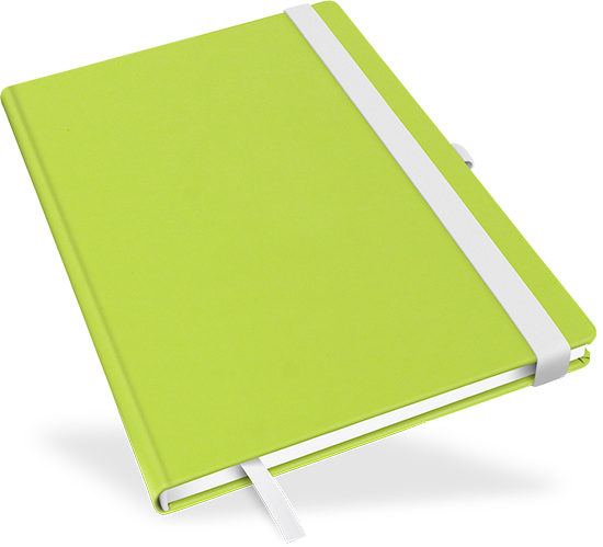 Notizbuch "Green Lizard" - Large